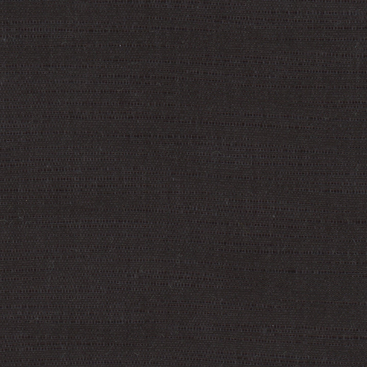 Athlete Black by Carole Designer Fabric Pewter 60% Cotton, 40% Polyester India Passes 50,000 Double Rubs Wyzenbeek Horizontal: 0 and Vertical: 0 55 - Swanky Fabrics -