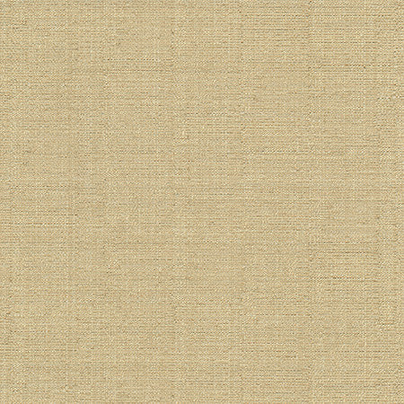 Cortland Eggnog by Carole Designer Fabric Gala 100% Polyester India 30,000 WYZENBEEK DOUBLE RUBS None 54.75" - Swanky Fabrics -