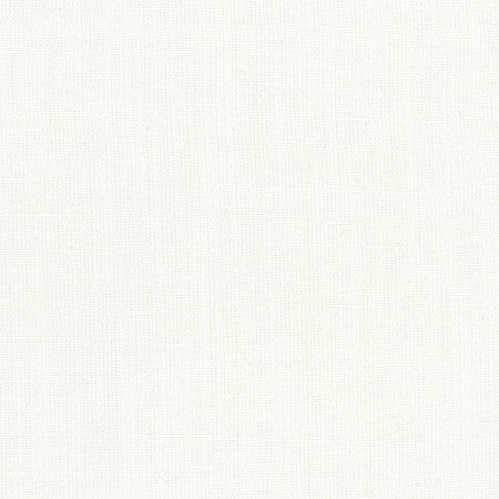 Aerial White by Carole Designer Fabric Opal 100% Polyester India Passes 50,000 Double Rubs Wyzenbeek </p><p>Repeat: None 56" - Swanky Fabrics -