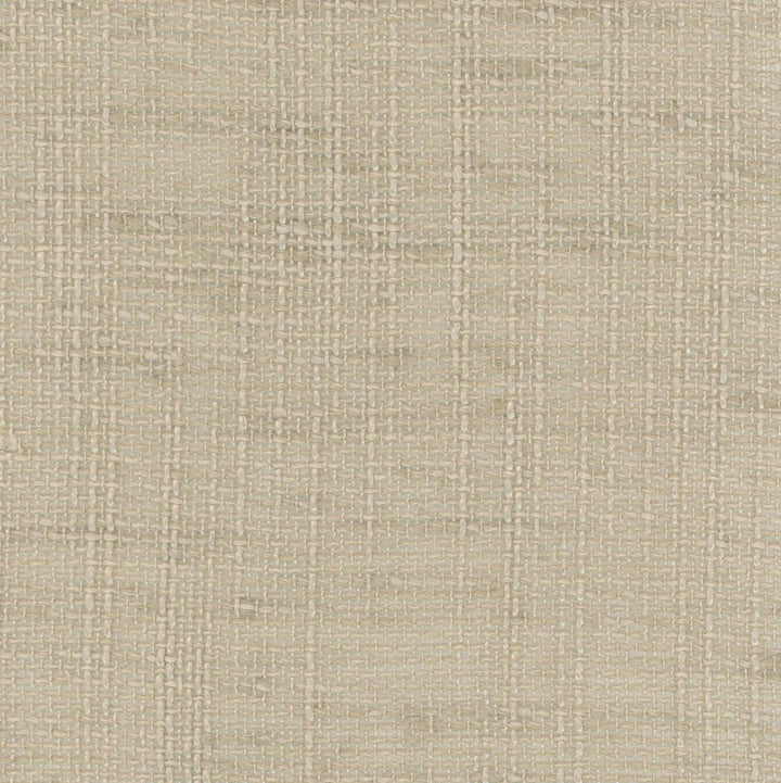 Slow Down Flax by Carole Designer Fabric Come Home 100% Polyester India N/A Horizontal: 0 and Vertical: 0 54 - Swanky Fabrics -