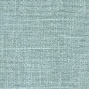 Big Thinker Azure by Carole Designer Fabric
