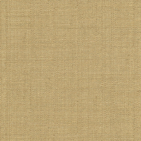 Cortland Butterscotch by Carole Designer Fabric Gala 100% Polyester India None 54.75" - Swanky Fabrics -