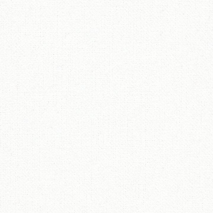 Estimator Optic White by Carole Designer Fabric Opal 100% Polyester China Passes 27,000 Double Rubs Wyzenbeek Horizontal: 0 and Vertical: 0 59 - Swanky Fabrics -