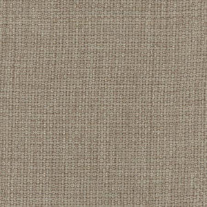 Director's Cut Doeskin by Carole Designer Fabric