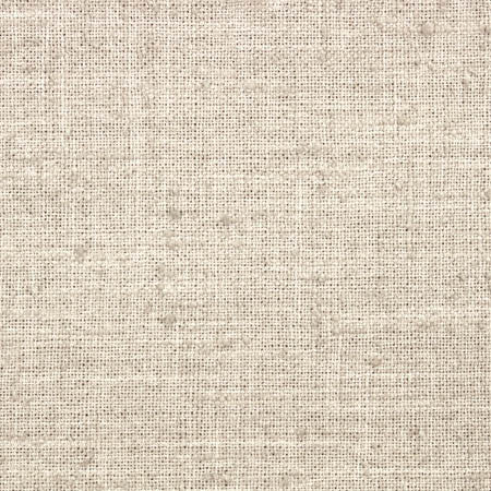 Consultant Natural by Carole Designer Fabric Toasted Almond 100% Polyester INDIA N/A None 54" - Swanky Fabrics -