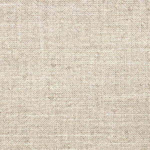 Consultant Natural by Carole Designer Fabric