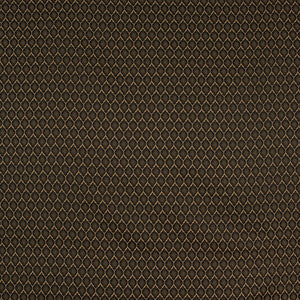 Girls Night Out Onyx by Carole Designer Fabric