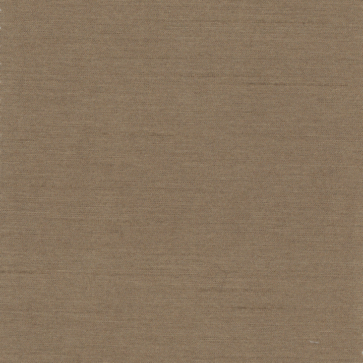 Northwind Mushroom by Carole Designer Fabric New Northwind Iv 100% Polyester India Passes 9,000 Double Rubs Wyzenbeek Horizontal: 0 and Vertical: 0 54 - Swanky Fabrics -