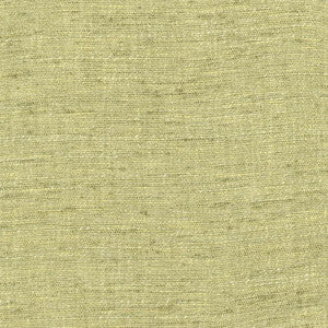Training Day Fern by Carole Designer Fabric