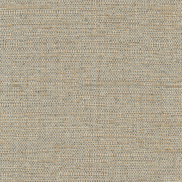 Cliff Top Bronze by Carole Designer Fabric Excursion 66% Polyester, 34% Cotton India 36,000 Wyzenbeek Double Rubs Horizontal: 0 and Vertical: 0 56 - Swanky Fabrics -