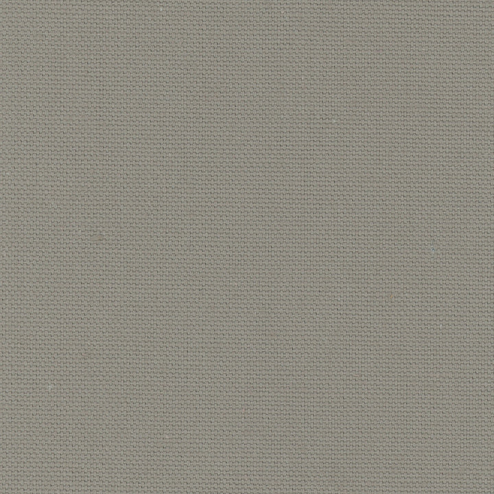 Daydreamer Sterling by Carole Designer Fabric Daydreaming 100% Cotton- Soil Release USA Passes 30,000 Double Rubs Wyzenbeek Horizontal: 0 and Vertical: 0 54 - Swanky Fabrics -