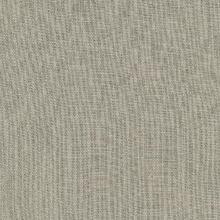 Fundamental Taupe by Carole Designer Fabric Fundamental 100% Polyester Turkey Passes 20,000 Double Rubs Wyzenbeek Horizontal: 0 and Vertical: 0 54 - Swanky Fabrics -