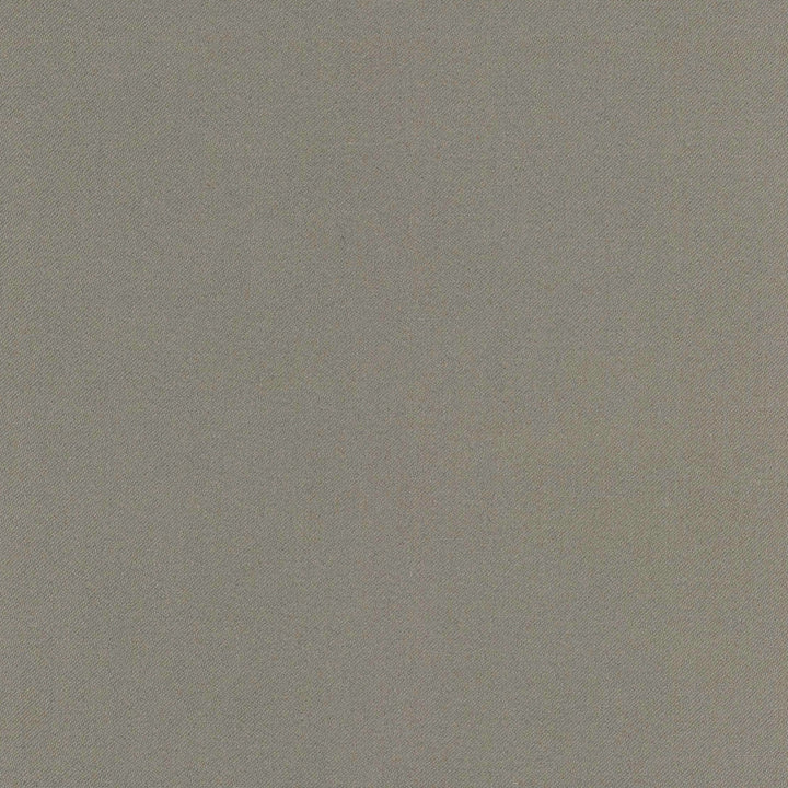 Comfort Shale by Carole Designer Fabric Daydreaming 100% Cotton India Passes 21,000 Double Rubs Wyzenbeek Horizontal: 0 and Vertical: 0 54 - Swanky Fabrics -