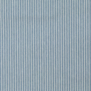 Be A Sport Denim by Carole Designer Fabric