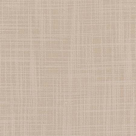 Lets Be Real Froth by Carole Designer Fabric See It Through 100% Recycled Polyester India 50,000 Wyzenbeek Double Rubs None 54" - Swanky Fabrics -