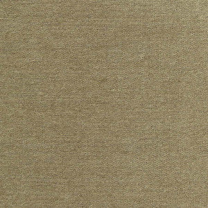 Total Dream Moss by Carole Designer Fabric