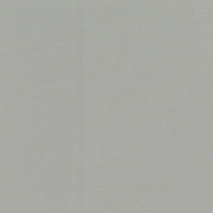 Daydreamer Dove by Carole Designer Fabric Daydreaming 100% Cotton- Soil Release USA Passes 30,000 Double Rubs Wyzenbeek Horizontal: 0 and Vertical: 0 54 - Swanky Fabrics -