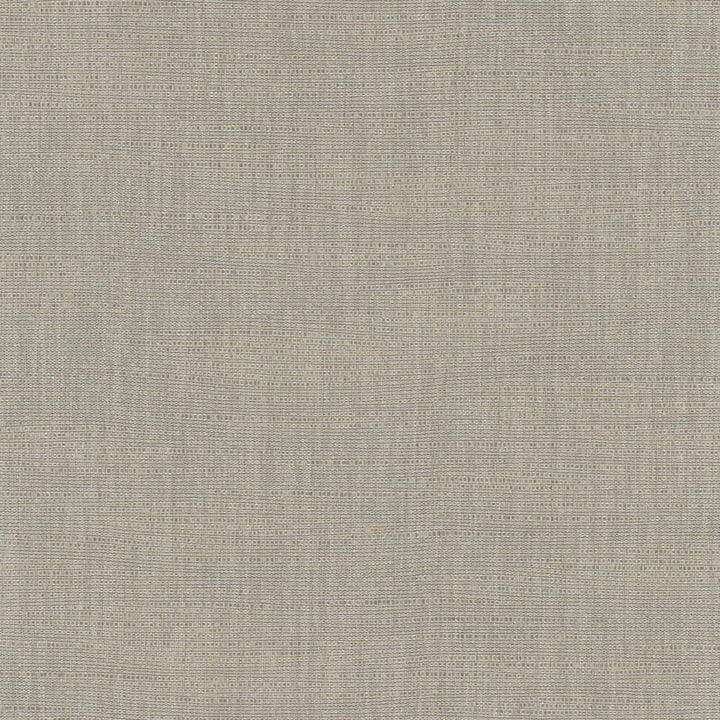 Athlete Slate by Carole Designer Fabric Pewter 60% Cotton, 40% Polyester India Passes 50,000 Double Rubs Wyzenbeek Horizontal: 0 and Vertical: 0 55 - Swanky Fabrics -