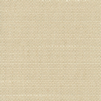 Air Time Manilla by Carole Designer Fabric Sensibility 100% Polyester Taiwan Passes 10,000 Double Rubs Wyzenbeek NONE 54" - Swanky Fabrics -