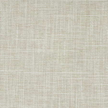 Big Thinker Oyster by Carole Designer Fabric Power Play 100% Polyester N/A None 55" - Swanky Fabrics -