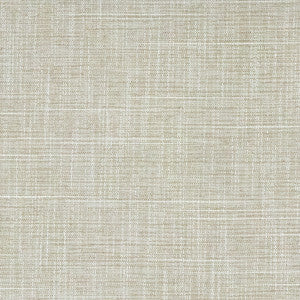 Big Thinker Oyster by Carole Designer Fabric