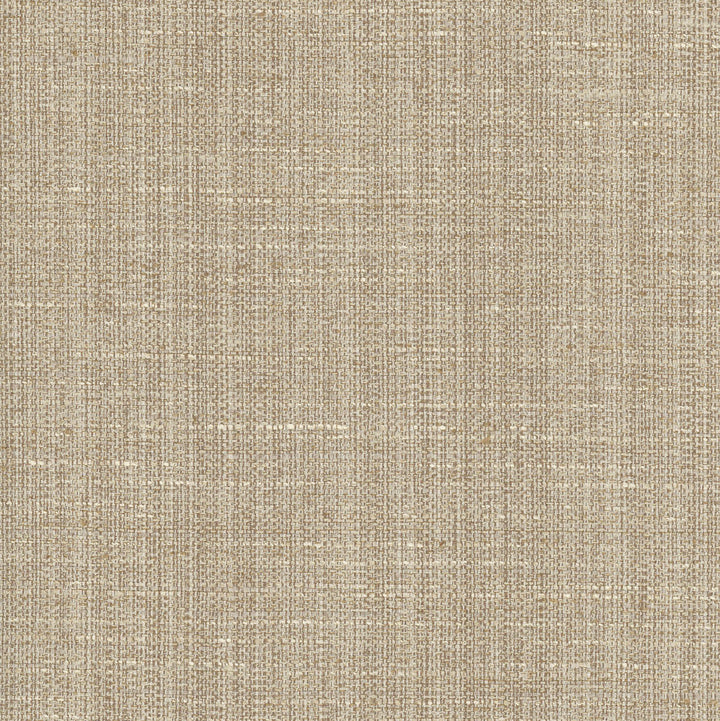 Rock Wall Shale by Carole Designer Fabric Chestnut 83% Polyester, 12% Cotton, 5% Rayon India N/A Horizontal: 0 and Vertical: 0 55 - Swanky Fabrics -