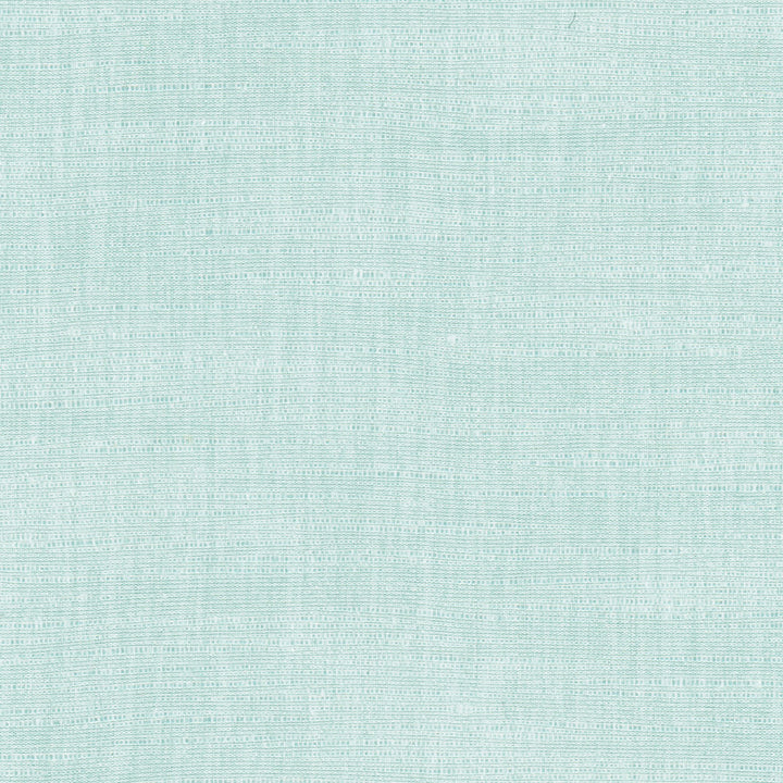 Athlete River by Carole Designer Fabric Celadon 60% Cotton, 40% Polyester India Passes 50,000 Double Rubs Wyzenbeek Horizontal: 0 and Vertical: 0 55 - Swanky Fabrics -