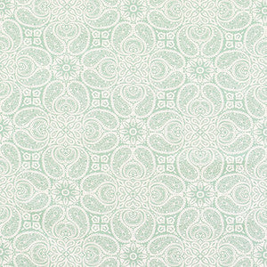 Paisley Connections Spa by Carole Designer Fabric