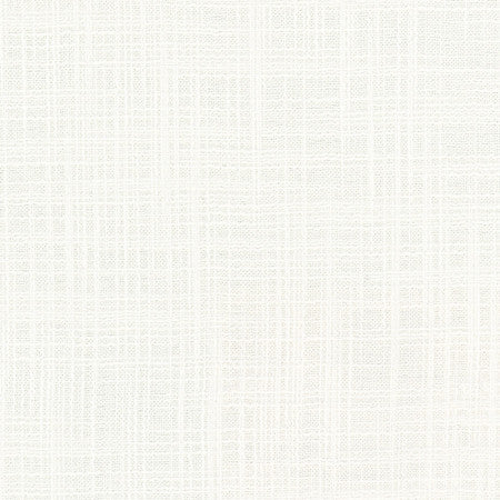 Lets Be Real Natural by Carole Designer Fabric See It Through 100% Recycled Polyester India 50,000 Wyzenbeek Double Rubs None 54" - Swanky Fabrics -