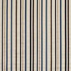 Roger Blue by Carole Designer Fabric