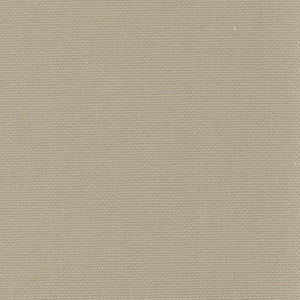 Daydreamer Beach by Carole Designer Fabric