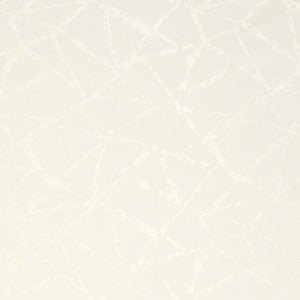 Into Focus Alabaster by Carole Designer Fabric