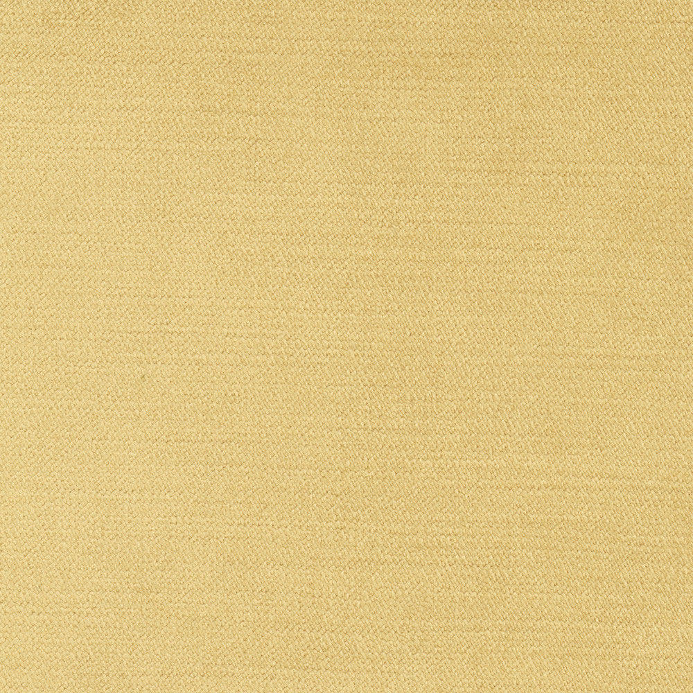 Regal Touch Camel by Carole Designer Fabric Touch Of Luxury 100% Polyester Turkey 15,000 Wyzenbeek Double Rubs Horizontal: 0 and Vertical: 0 55 - Swanky Fabrics -