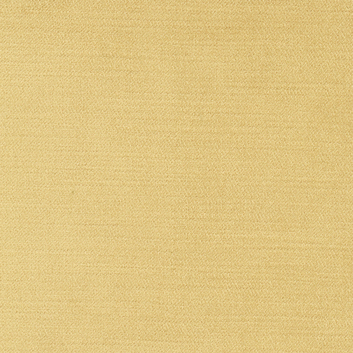 Regal Touch Camel by Carole Designer Fabric Touch Of Luxury 100% Polyester Turkey 15,000 Wyzenbeek Double Rubs Horizontal: 0 and Vertical: 0 55 - Swanky Fabrics -