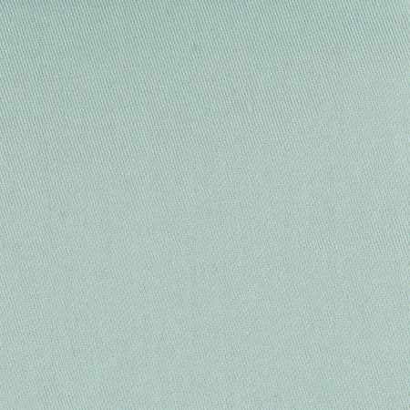 Comfort Dew by Carole Designer Fabric Daydreaming 100% Cotton India Passes 21,000 Double Rubs Wyzenbeek None 54" - Swanky Fabrics -
