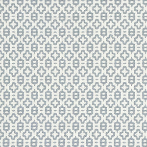 Start Small Vapor by Carole Designer Fabric