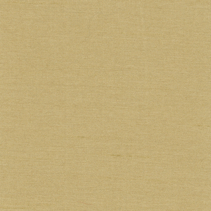 Northwind Doe by Carole Designer Fabric New Northwind Iv 100% Polyester India Passes 9,000 Double Rubs Wyzenbeek Horizontal: 0 and Vertical: 0 54 - Swanky Fabrics -