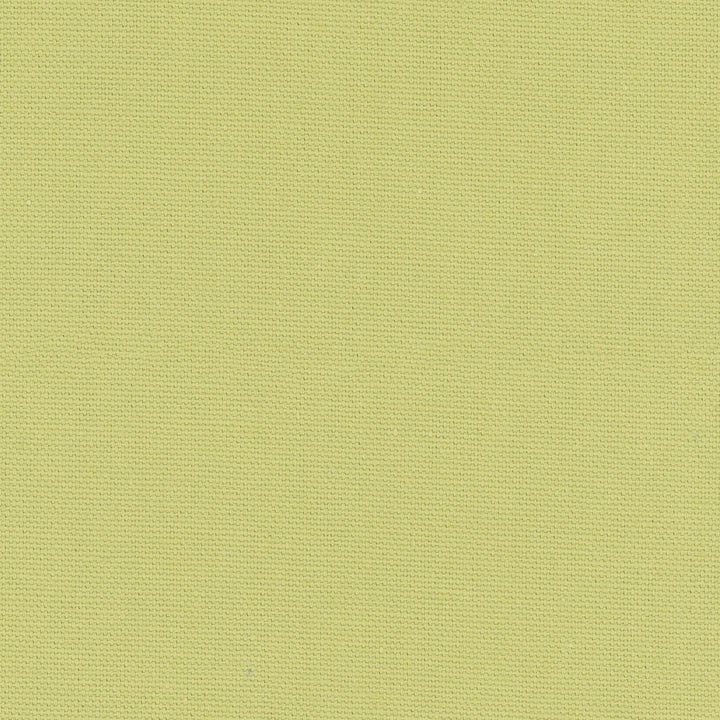Daydreamer Pear by Carole Designer Fabric Daydreaming 100% Cotton- Soil Release USA Passes 30,000 Double Rubs Wyzenbeek Horizontal: 0 and Vertical: 0 54 - Swanky Fabrics -