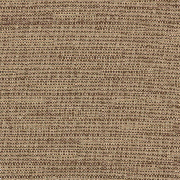 Banksville Almond by Carole Designer Fabric Bigelow 100% Polyester Mexico Passes 18,000 Double Rubs Wyzenbeek Horizontal: 0 and Vertical: 0 54 - Swanky Fabrics -