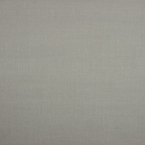 Common Sense Pebble by Carole Designer Fabric