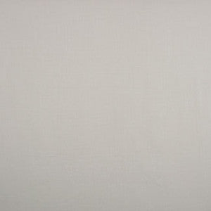 Common Sense Cloud by Carole Designer Fabric