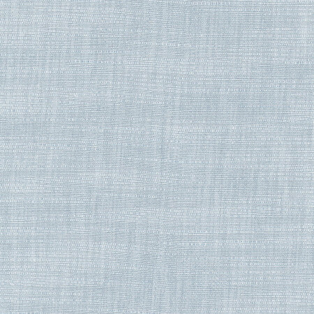 Athlete Cloud by Carole Designer Fabric Cadet 60% Cotton, 40% Polyester India None 55" - Swanky Fabrics -