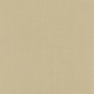 Daydreamer Raffia by Carole Designer Fabric