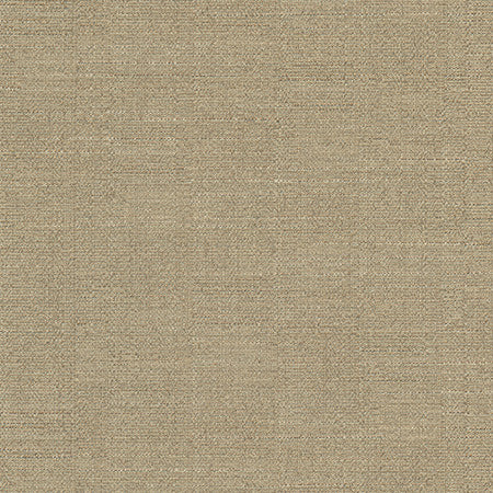 Cortland Fawn by Carole Designer Fabric Gala 100% Polyester India 30,000 WYZENBEEK DOUBLE RUBS None 54.75" - Swanky Fabrics -