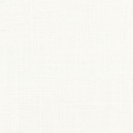 SHERIFF POWDER by Carole Designer Fabric Arlyn,Dove Wing 36% COTTON, 30% POLYESTER, 17% VISCOSE, 17% LINEN INDIA Passes 30,000 Double Rubs Wyzenbeek NONE 54" - Swanky Fabrics -