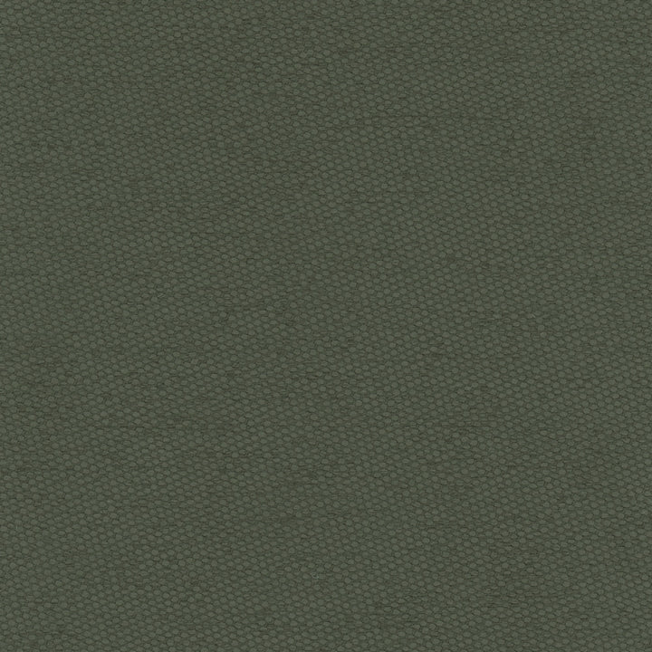Fact Finder Seaweed by Carole Designer Fabric Celadon 100% Polyester Turkey Passes 40,000 Double Rubs Wyzenbeek Horizontal: 0 and Vertical: 0 59 - Swanky Fabrics -