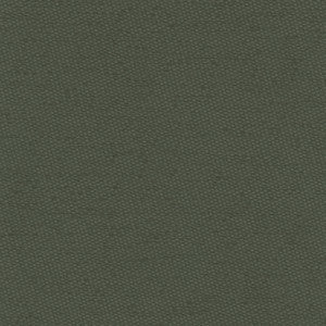 Fact Finder Seaweed by Carole Designer Fabric