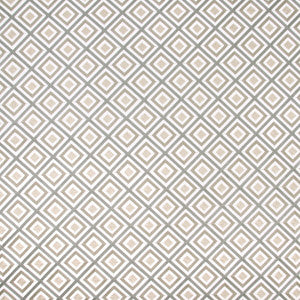 Time Will Tell Metallic by Carole Designer Fabric