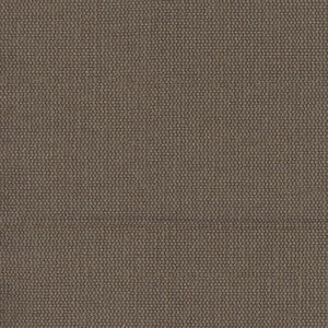Succulent Coffee Bean by Carole Designer Fabric