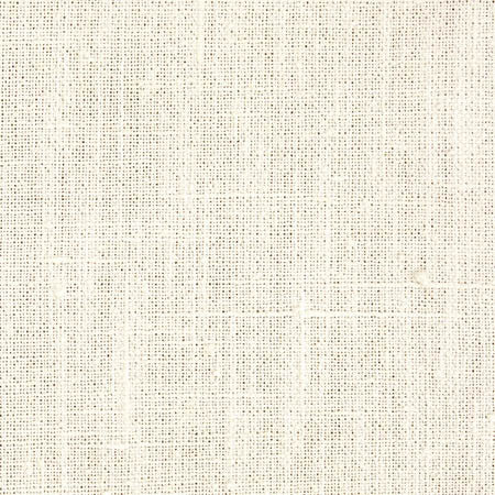 Consultant Ivory by Carole Designer Fabric Toasted Almond 100% Polyester INDIA N/A None 54" - Swanky Fabrics -